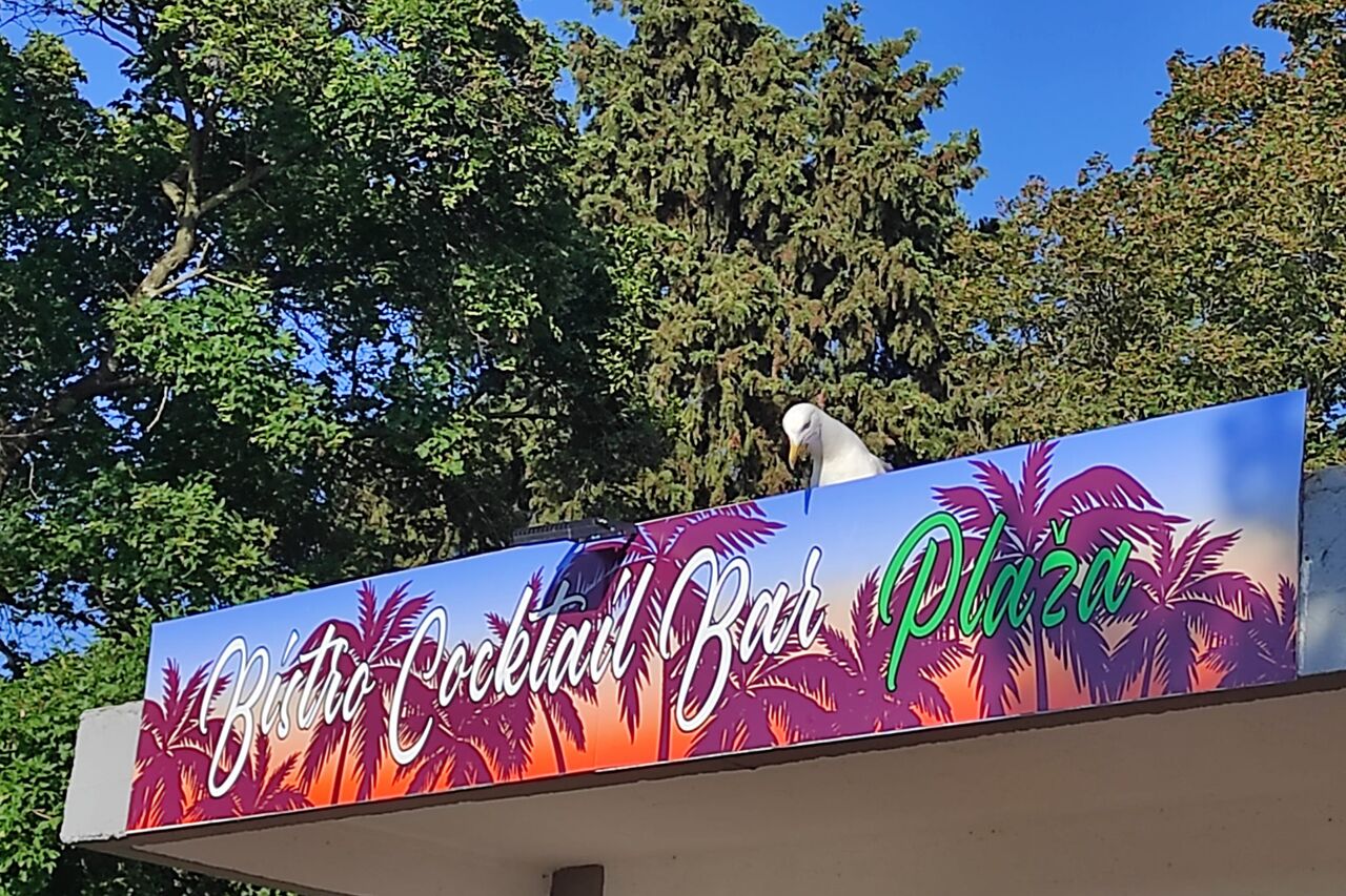 Bistro Cocktail Bar Plaža