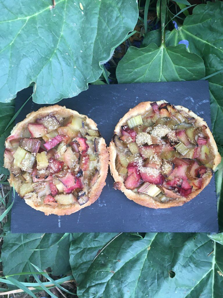 Tartelette Rhubarbe
la pièce 4€