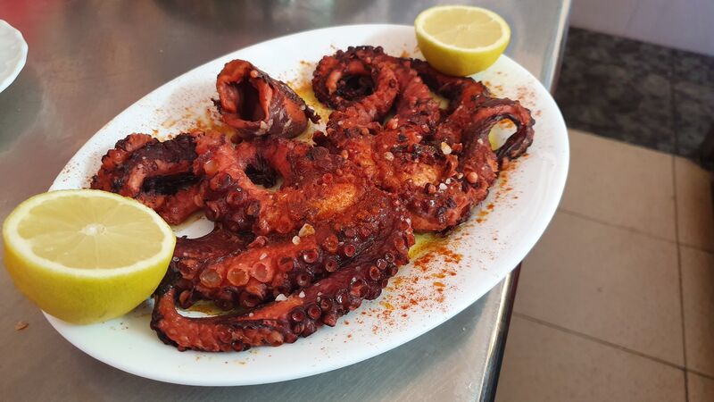 PULPO ROCKERO