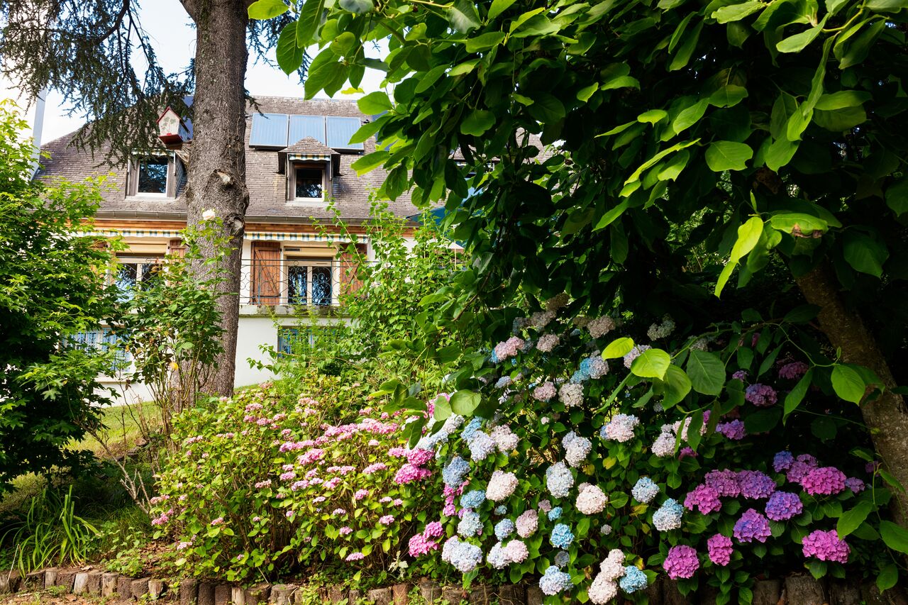 Un petit coin de verdure