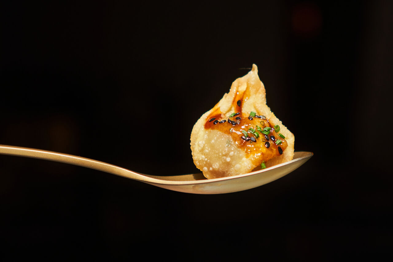 Wonton