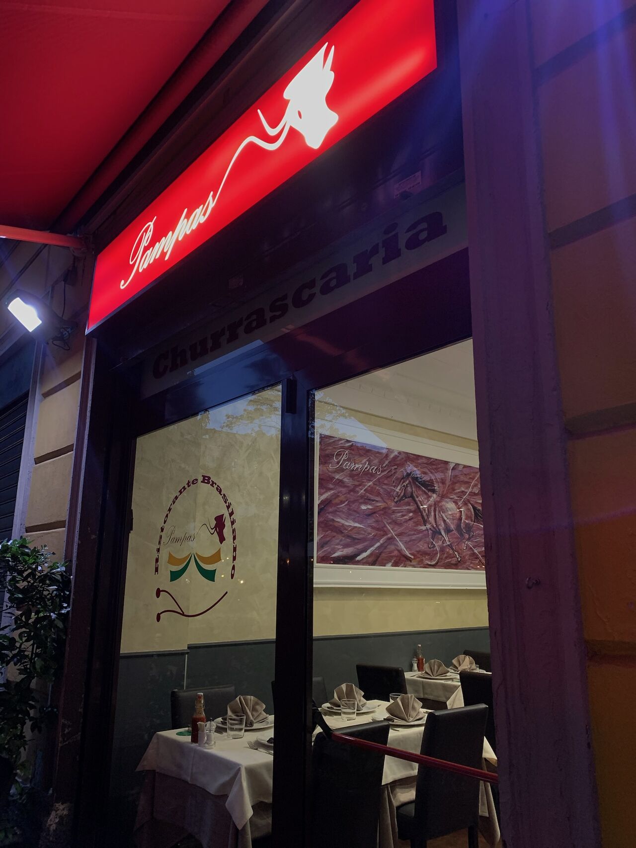 Il Termine Pampas