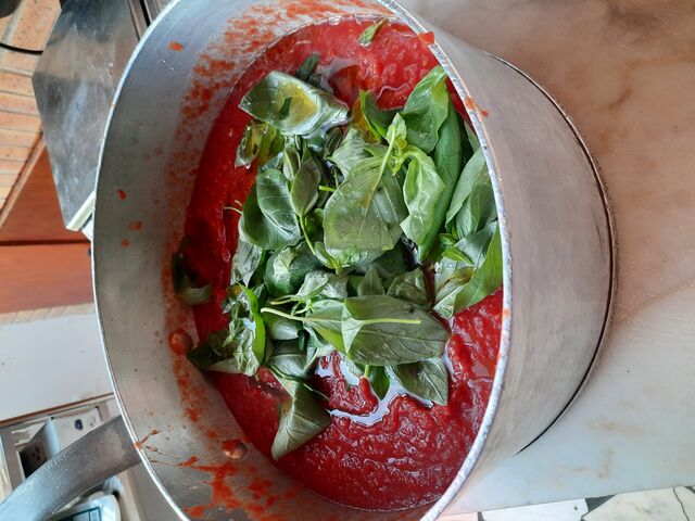 tomate san-marzano et basilic