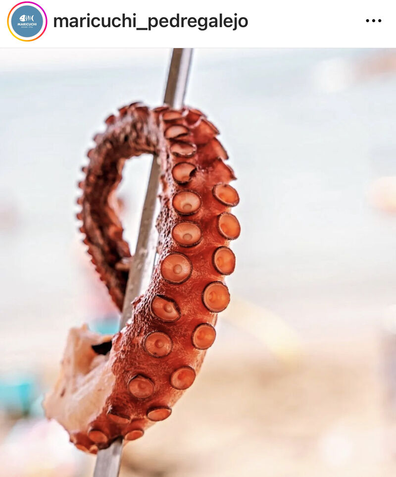 Pulpo espetado