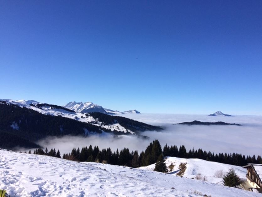 Vue montagne - Demoiselle de Saix 