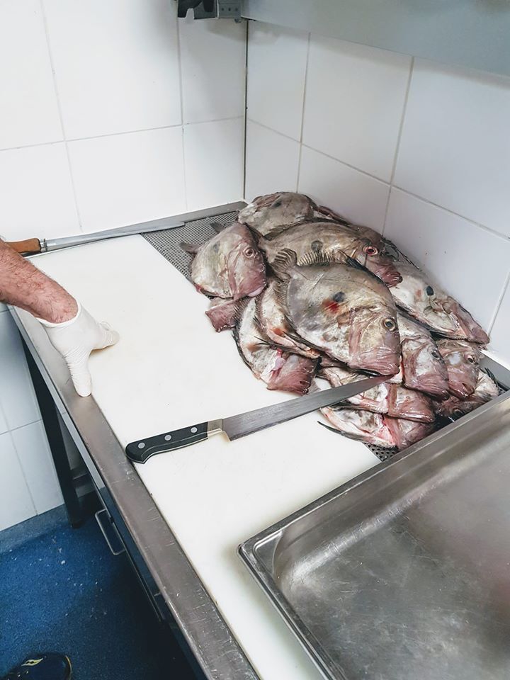 C'est parti pour lever les filets (2020)