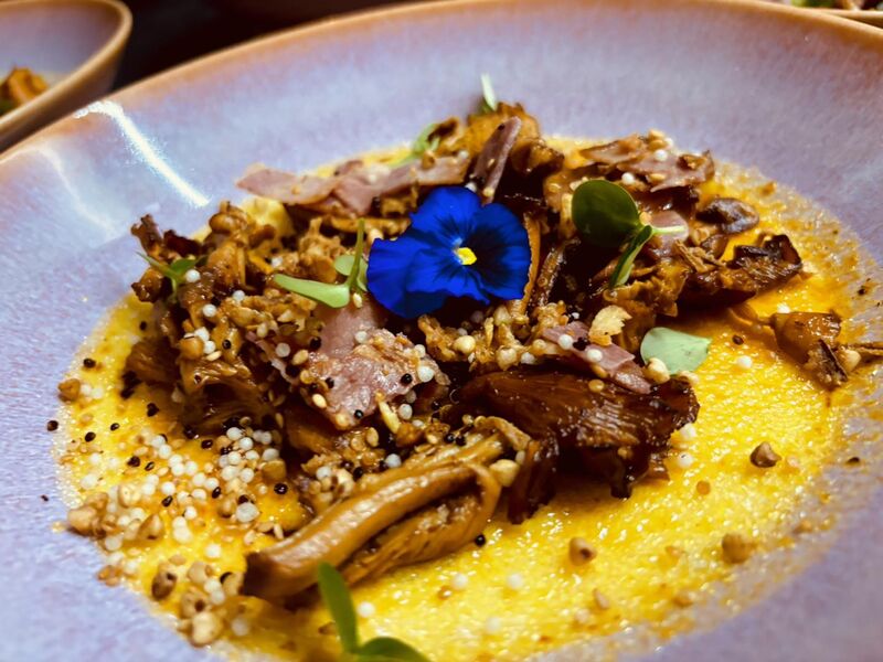 Crème Brulée Potiron & Girolles