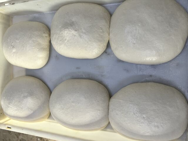 Lievitazione naturale