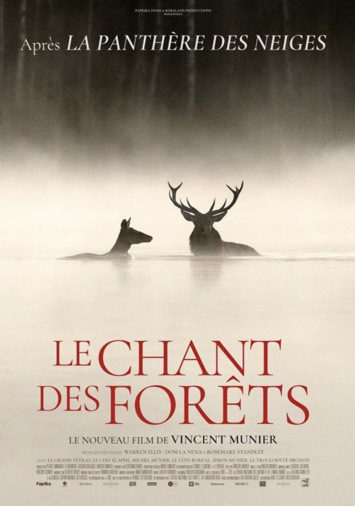 LE CHANT DES FORETS - 1h36 - Tous Publics