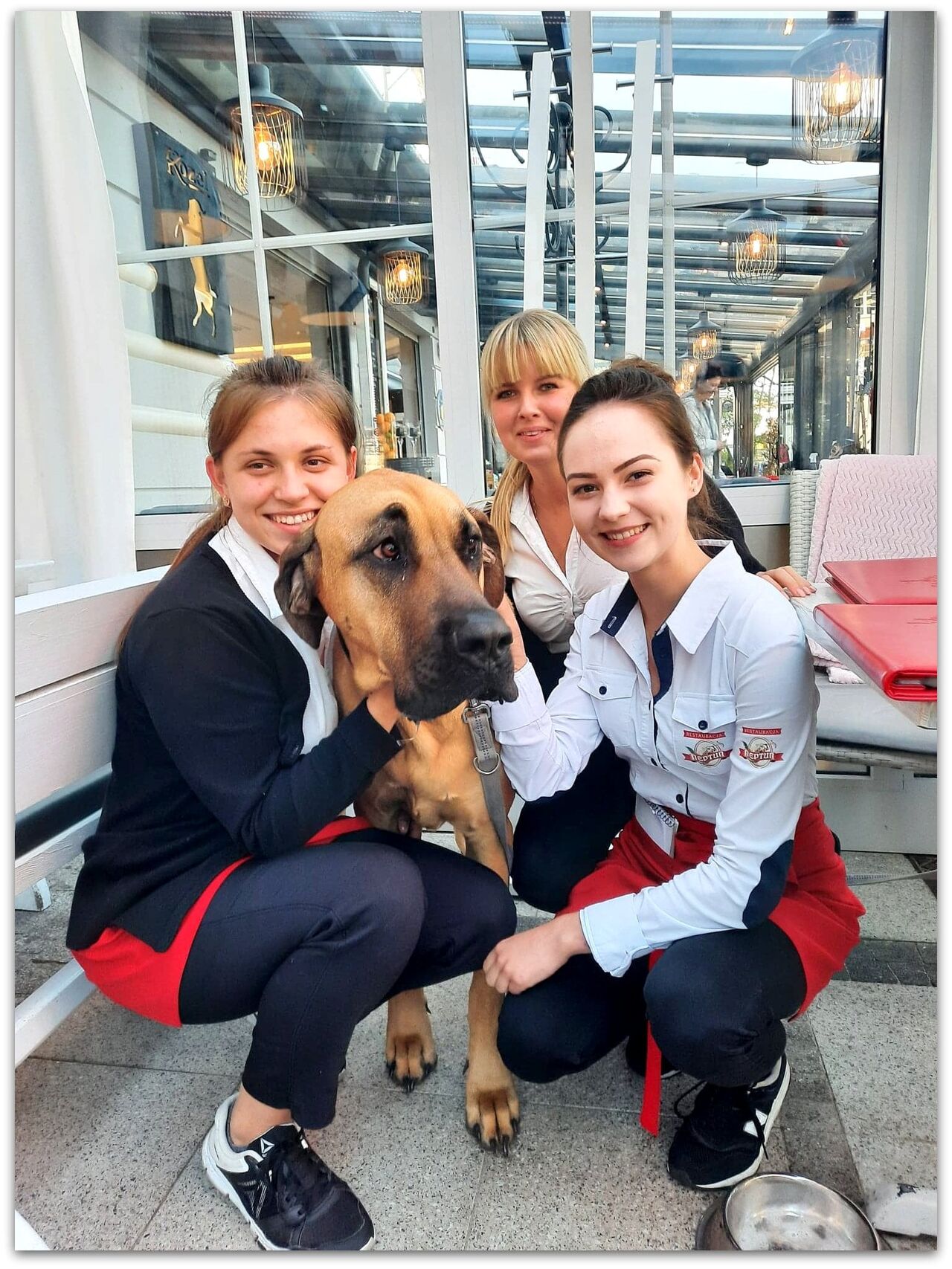 Te urocze dziewczyny zawsze służą profesjonalną pomocą.
To dzięki nim w naszej restauracji poczujesz się wyjątkowo.