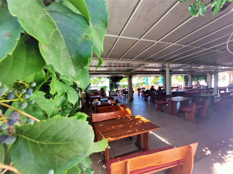 Prostor za uživanje u mediteranskoj hrani uz šum valova, okružen biljkama.