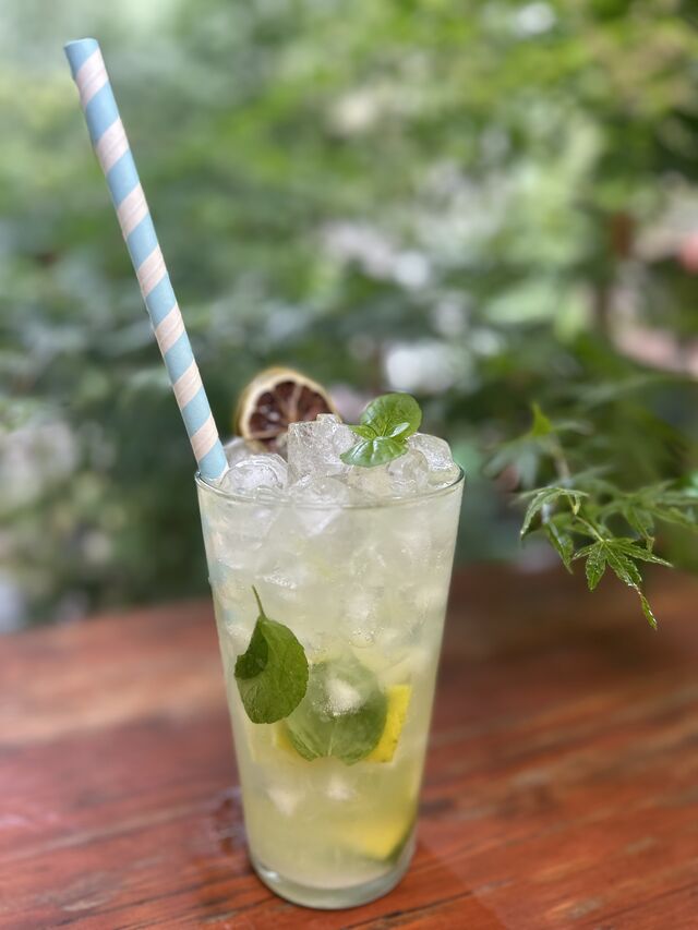 MOJITO
