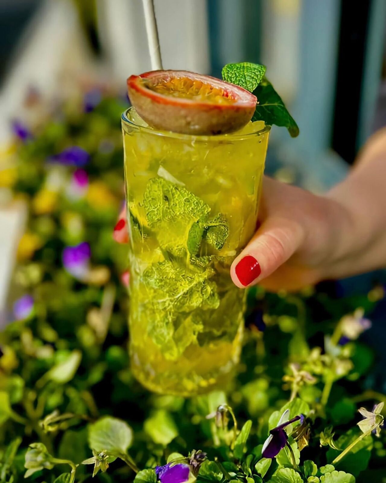 Venez déguster des cocktails 