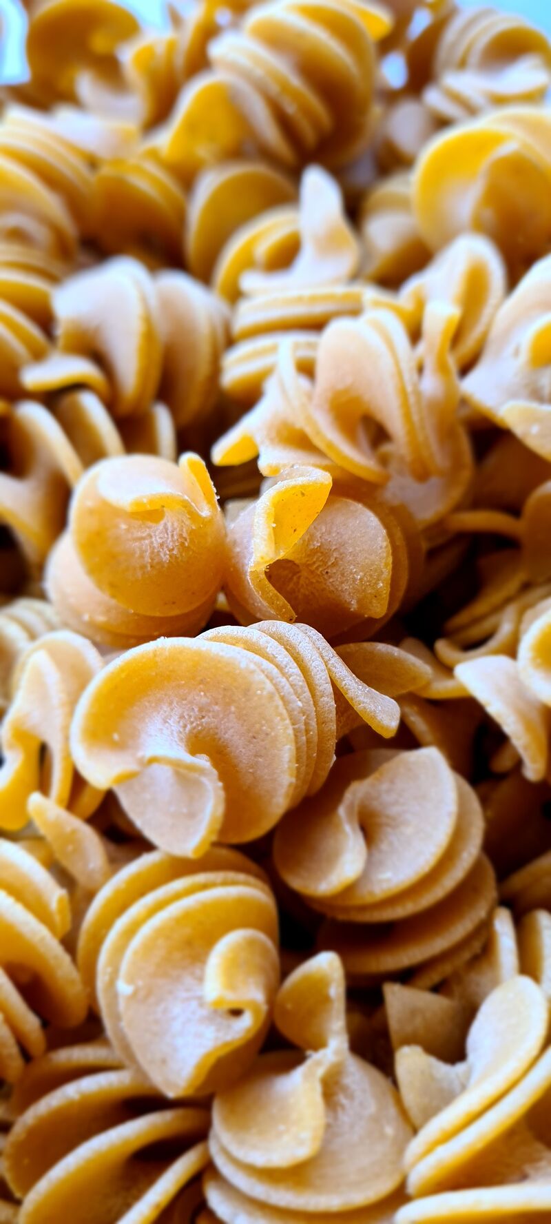 Pâtes au jambon de Bayonne