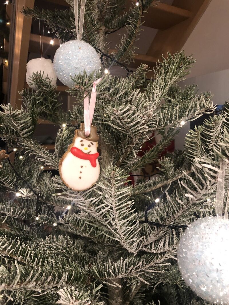 Biscuit a mettre dans le sapin