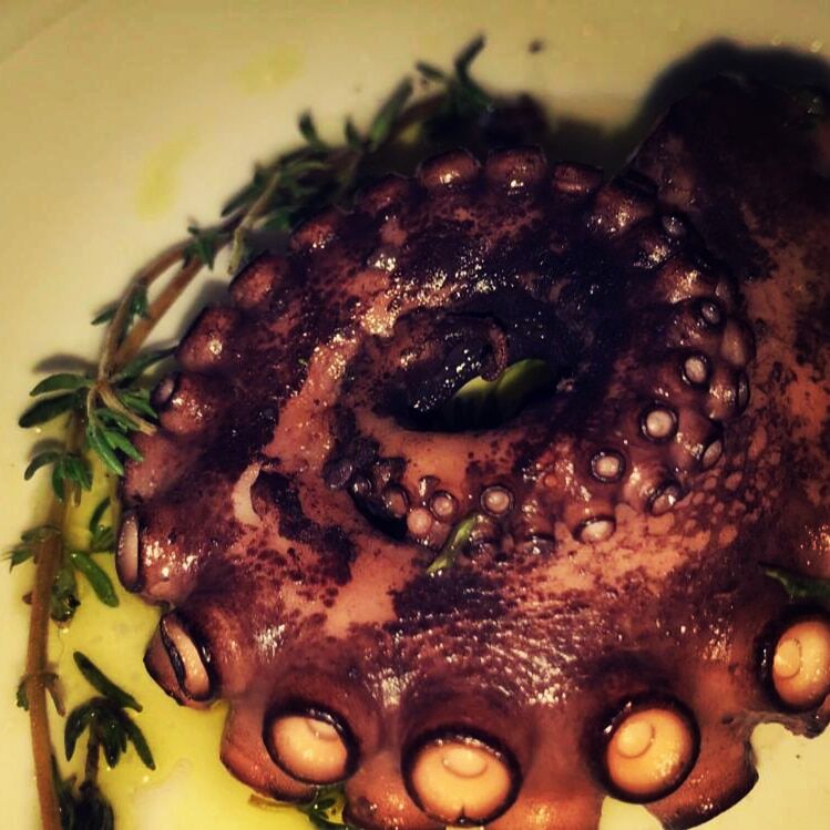 Pulpo