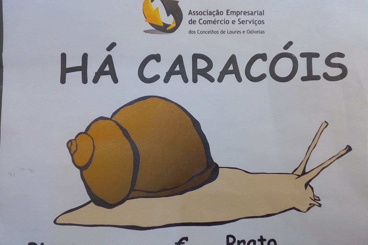 Venha experimentar ..