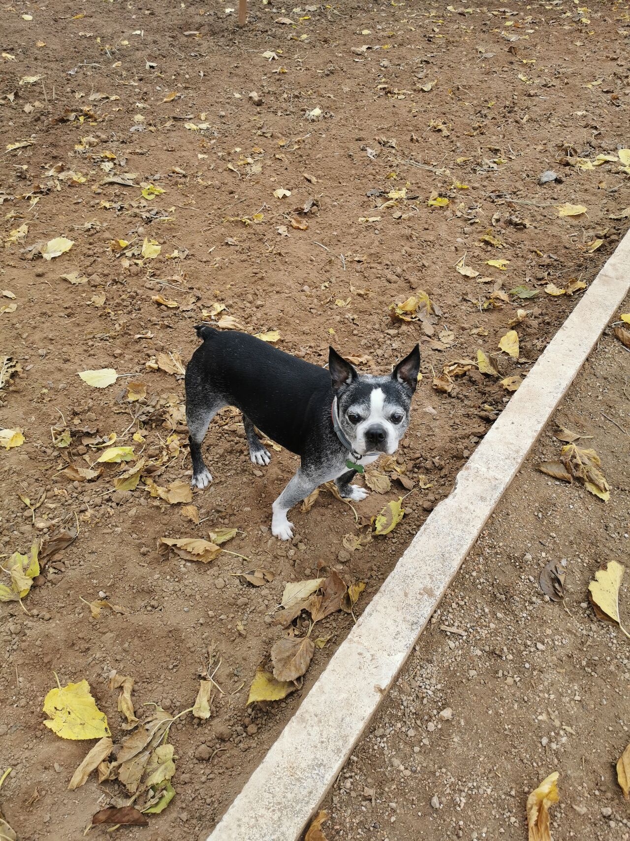 Oliver en el parque ☺️