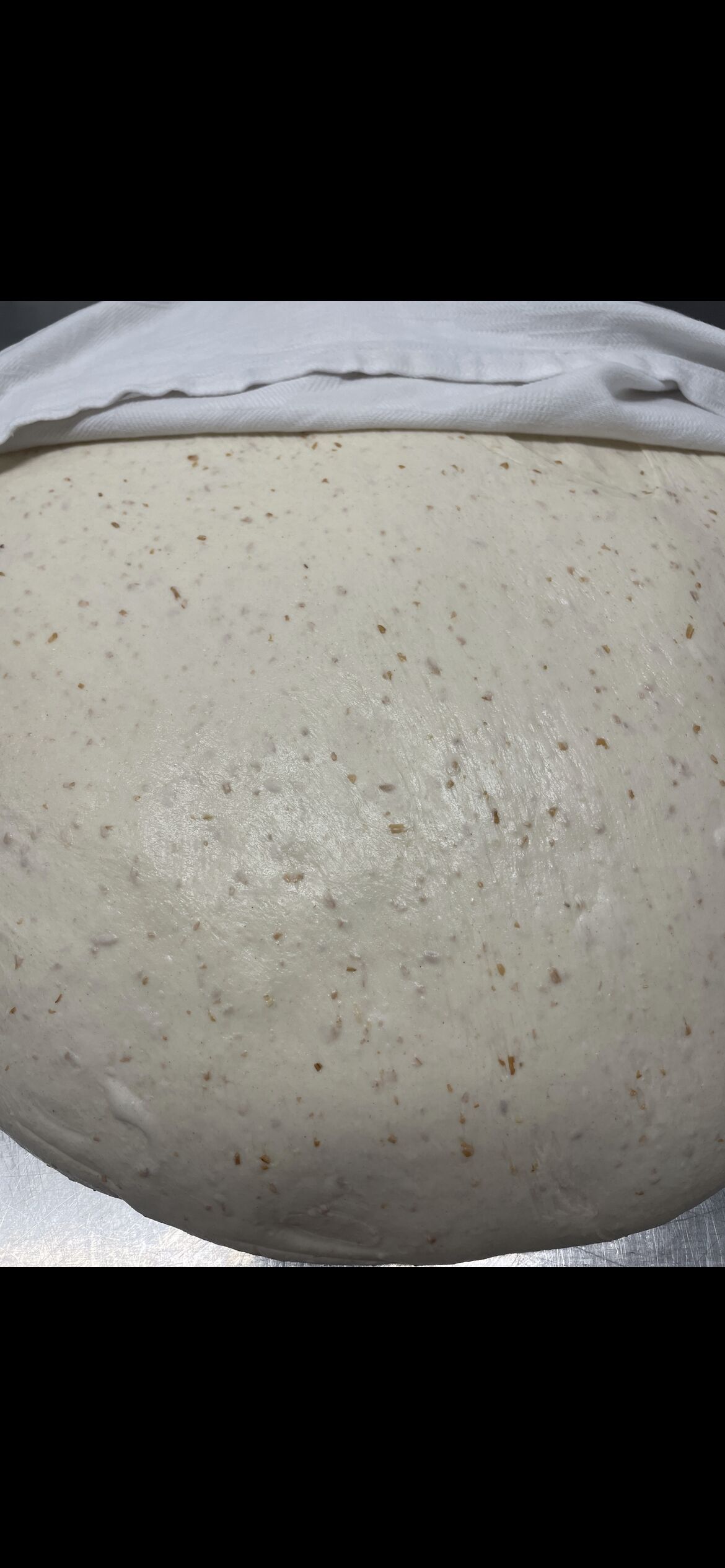 Ons heerlijke deeg, klaar om in bolletjes te veranderen 