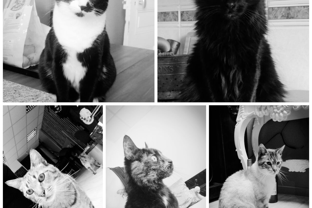 notre équipe de choc vous accueille