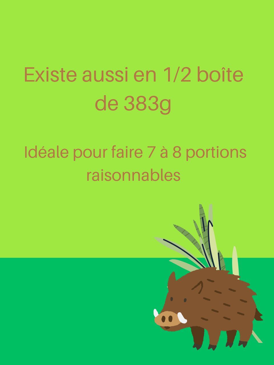 TERRINE de SANGLIER au Romarin - 383g