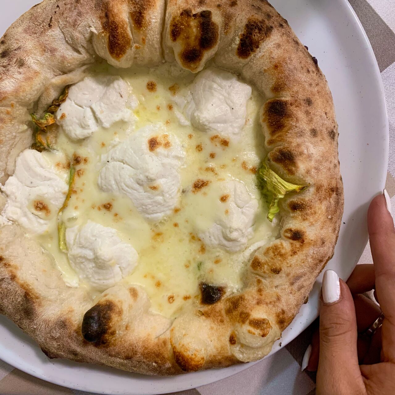 Partenopea senza alici 