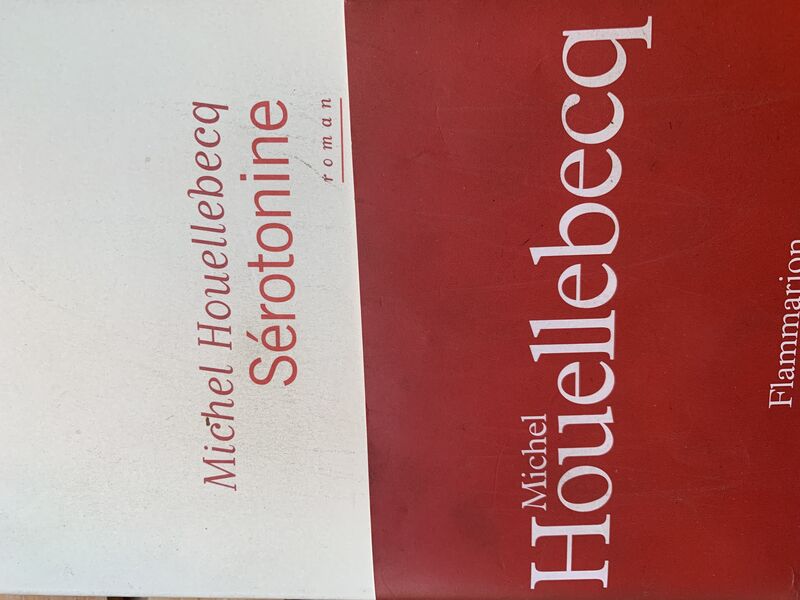 Nous remercions Michel Houellebeq de nous avoir citée sur son dernier roman et sa fidélité à notre table