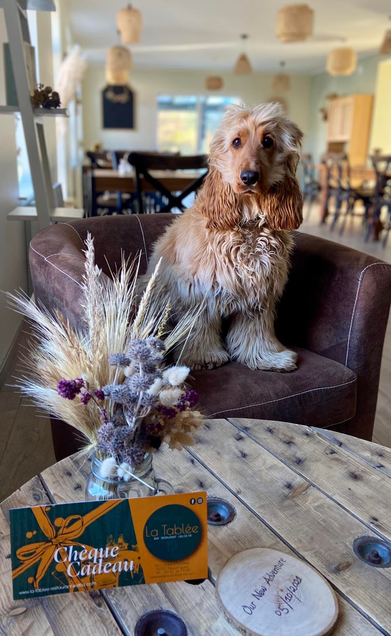 LES CHEQUES CADEAUX SONT ARRIVES