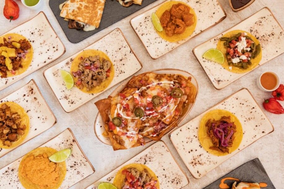 VARIEDAD DE PLATOS MEXICANOS 