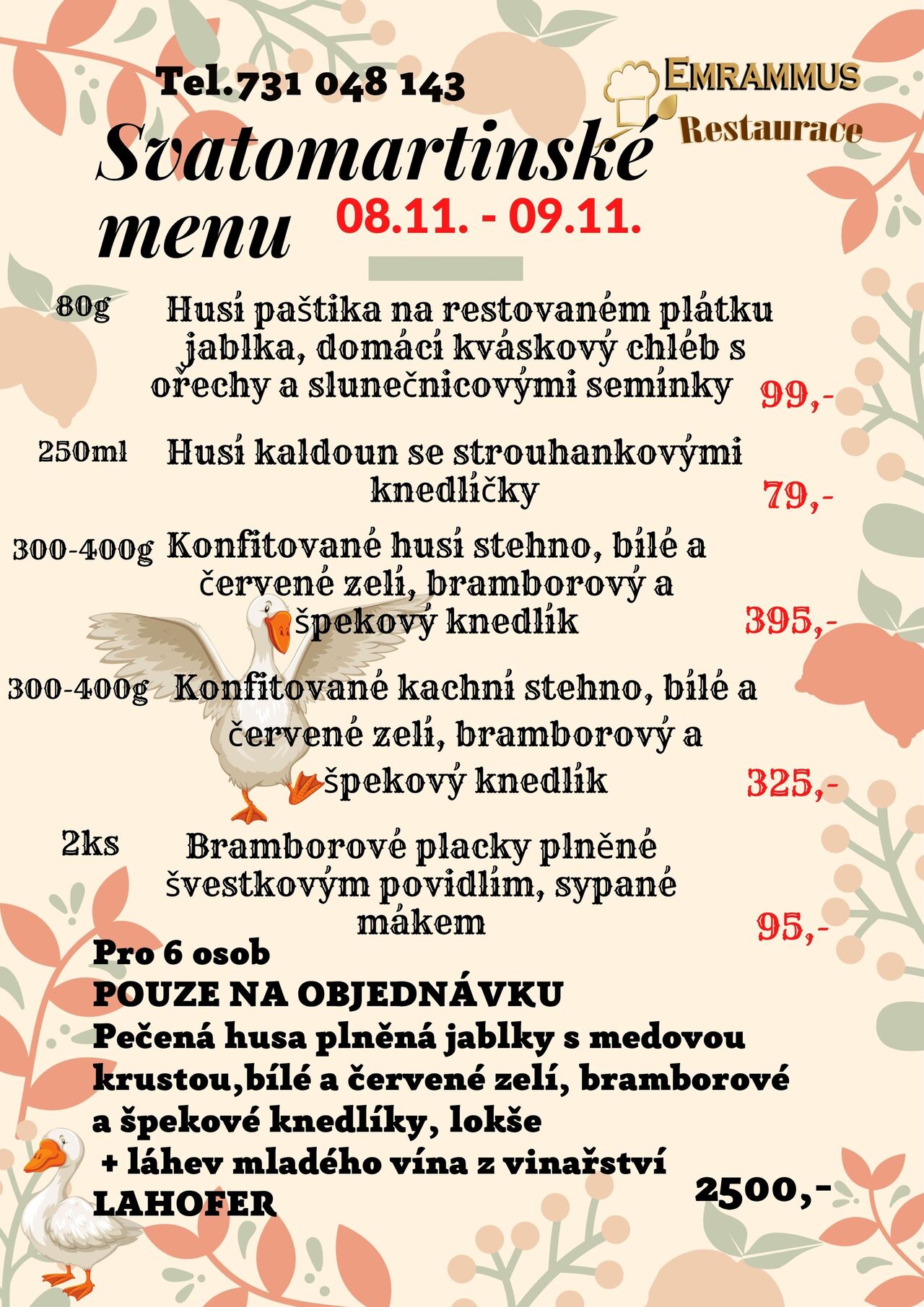 Svatomartinská husa 8.-9.11.2025