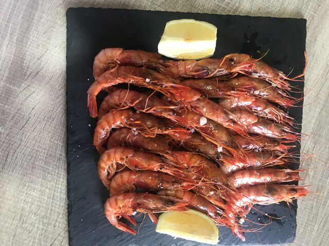 Gamba Roja