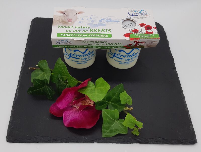 yaourt au lait de brebis