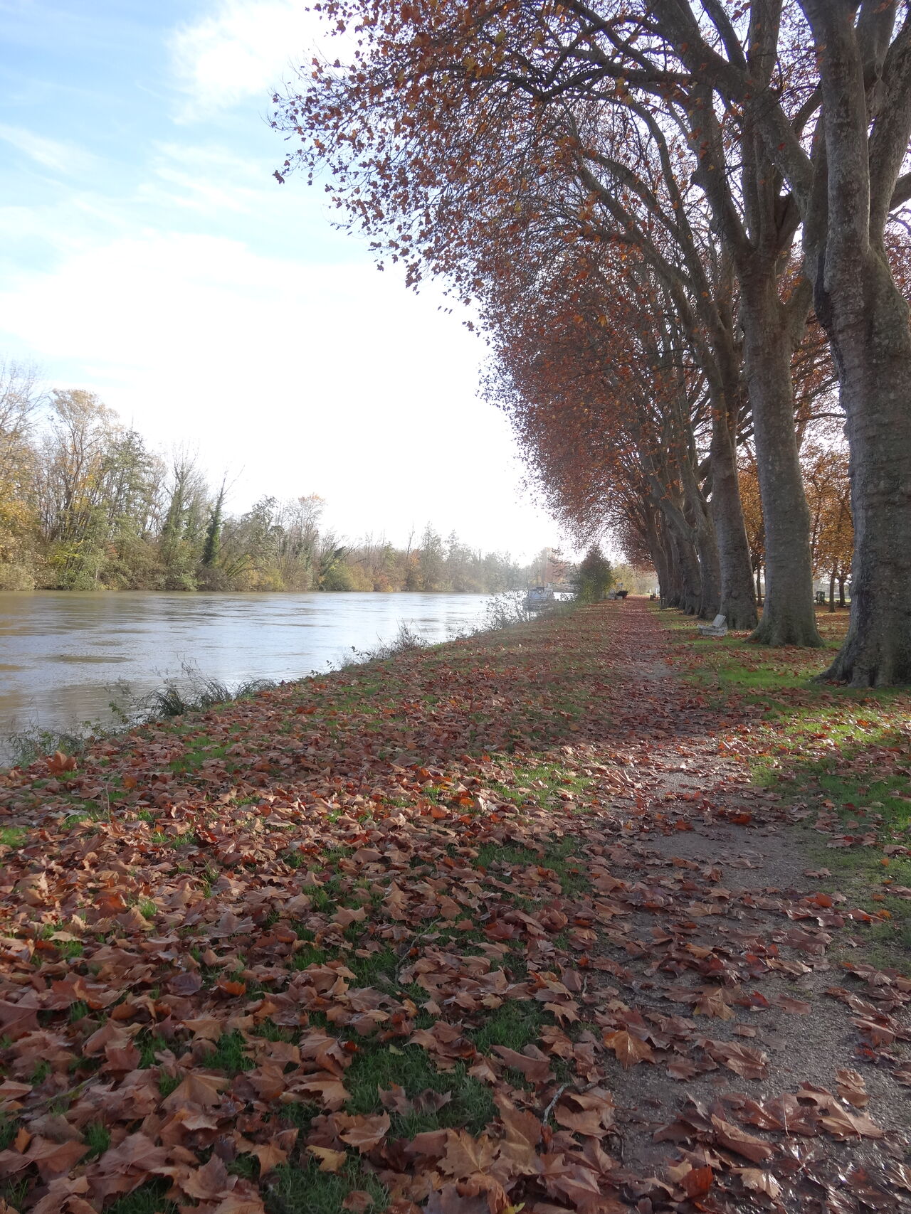 Sur les bords de Seine