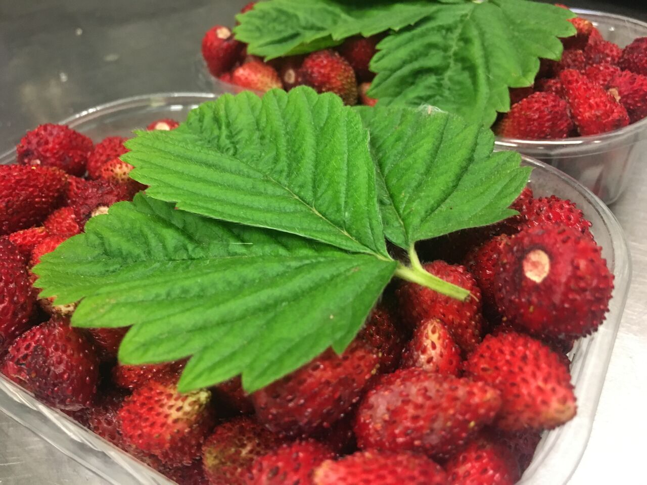 Prodotti di prima qualità