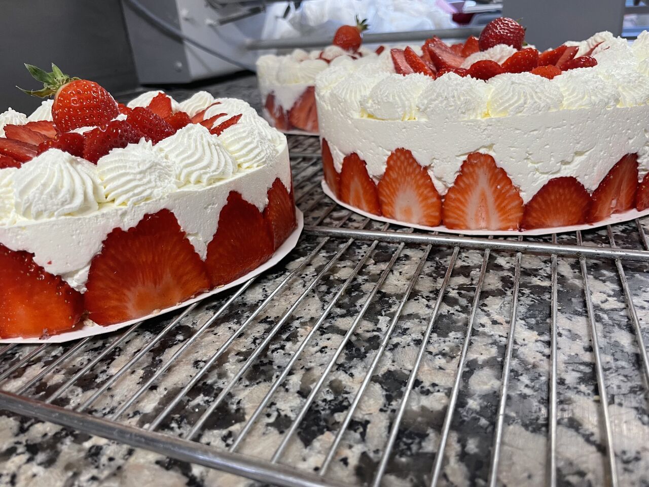 Fraisier (fraises françaises)
