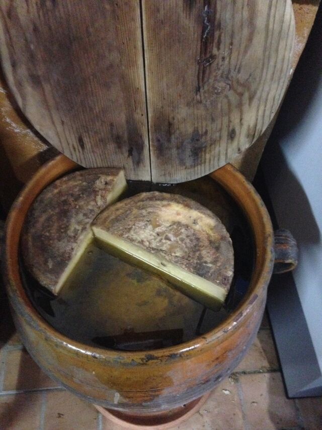 Quesos en Aceite de Oliva Virgen