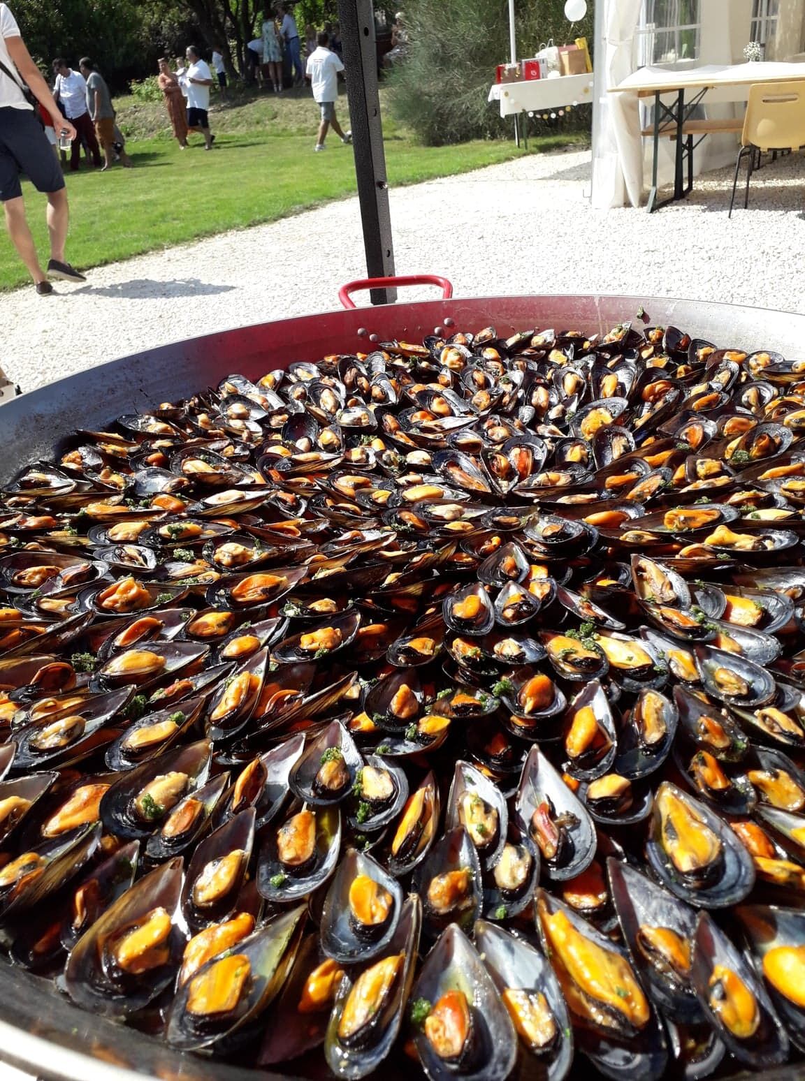 MOUCLADE :Au kg : 9€50 le kg idéal pour vos apéritifs moules fraiches, sauce au pastis, persillade....