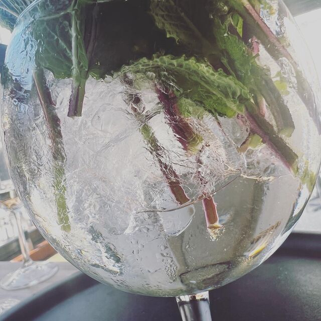 menthe fraiche pour cocktails