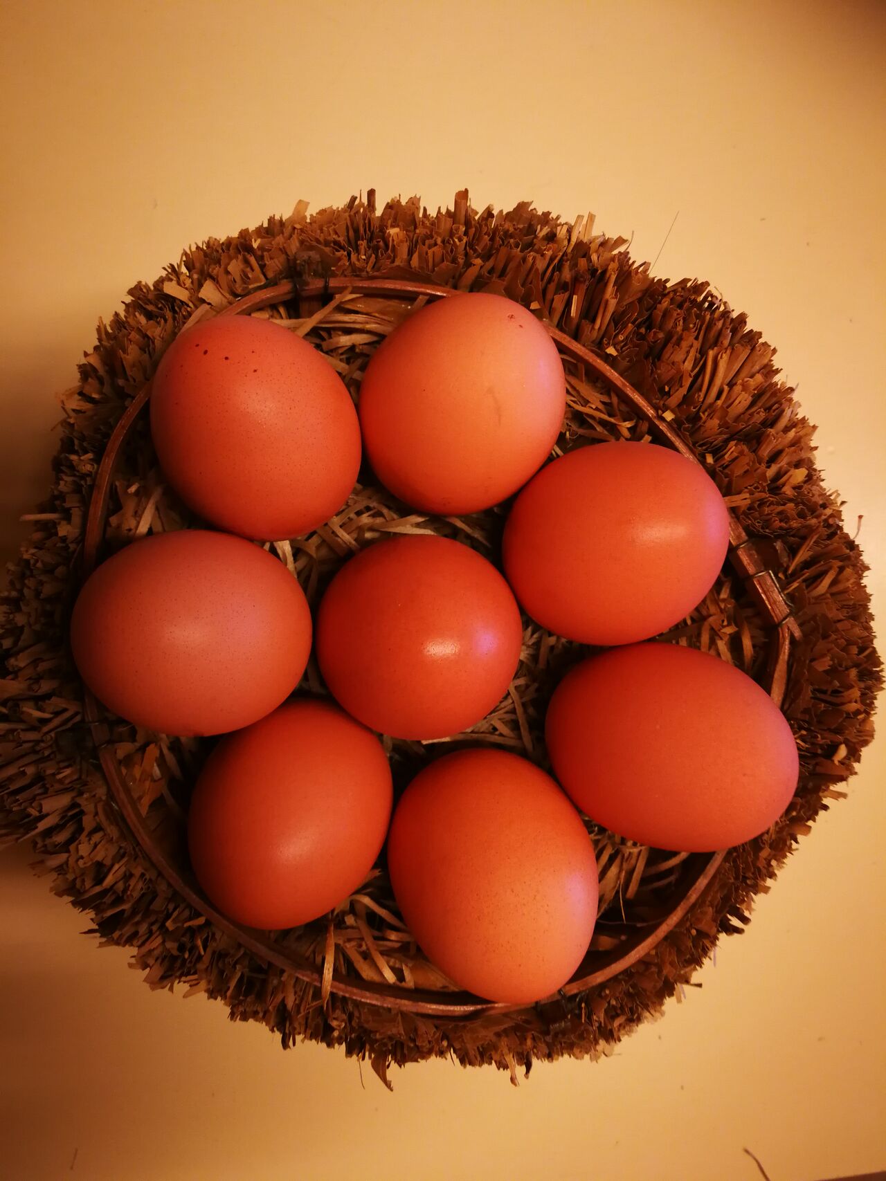 Uova biologiche da galline allevate all'aperto