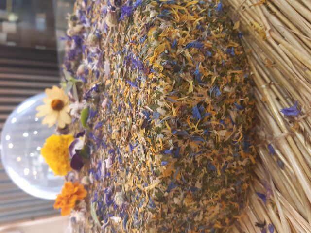 Tomme fleurs du Tyrol