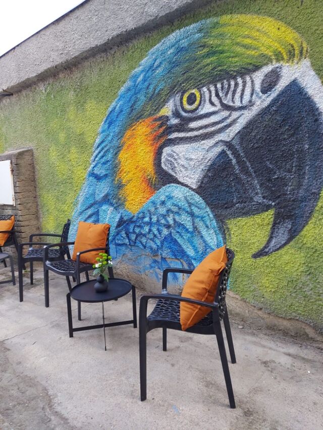 Posezení u papouška