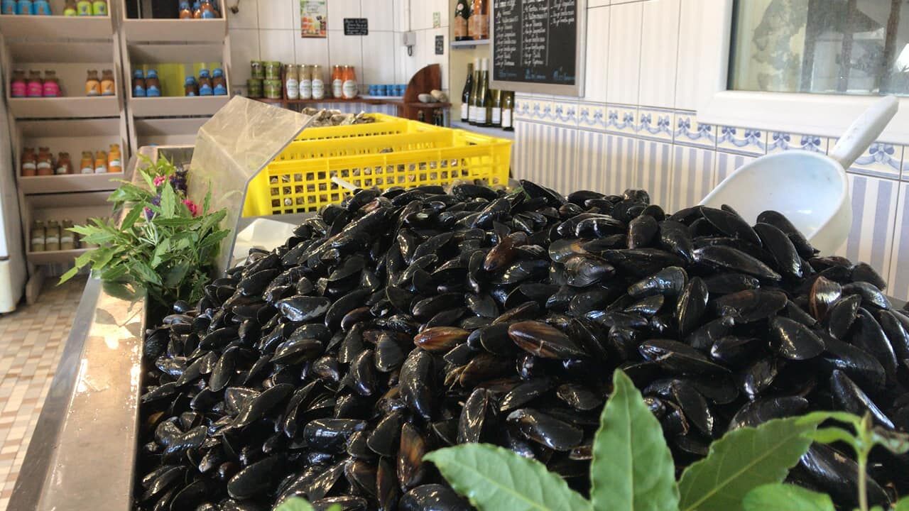 Vente aux particuliers et en gros de Moules de Bouchot