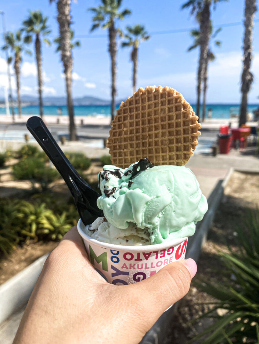 La classique Chocolat-Menthe