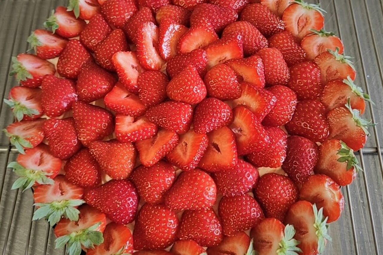 Nos Entremets