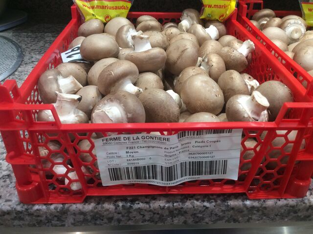 Nos Champignons 