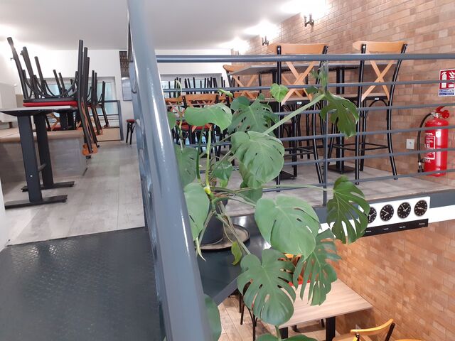 Salle avec 50 places espacées, pouvons accueillir des groupes, tout en maintenant les mesures sanitaires