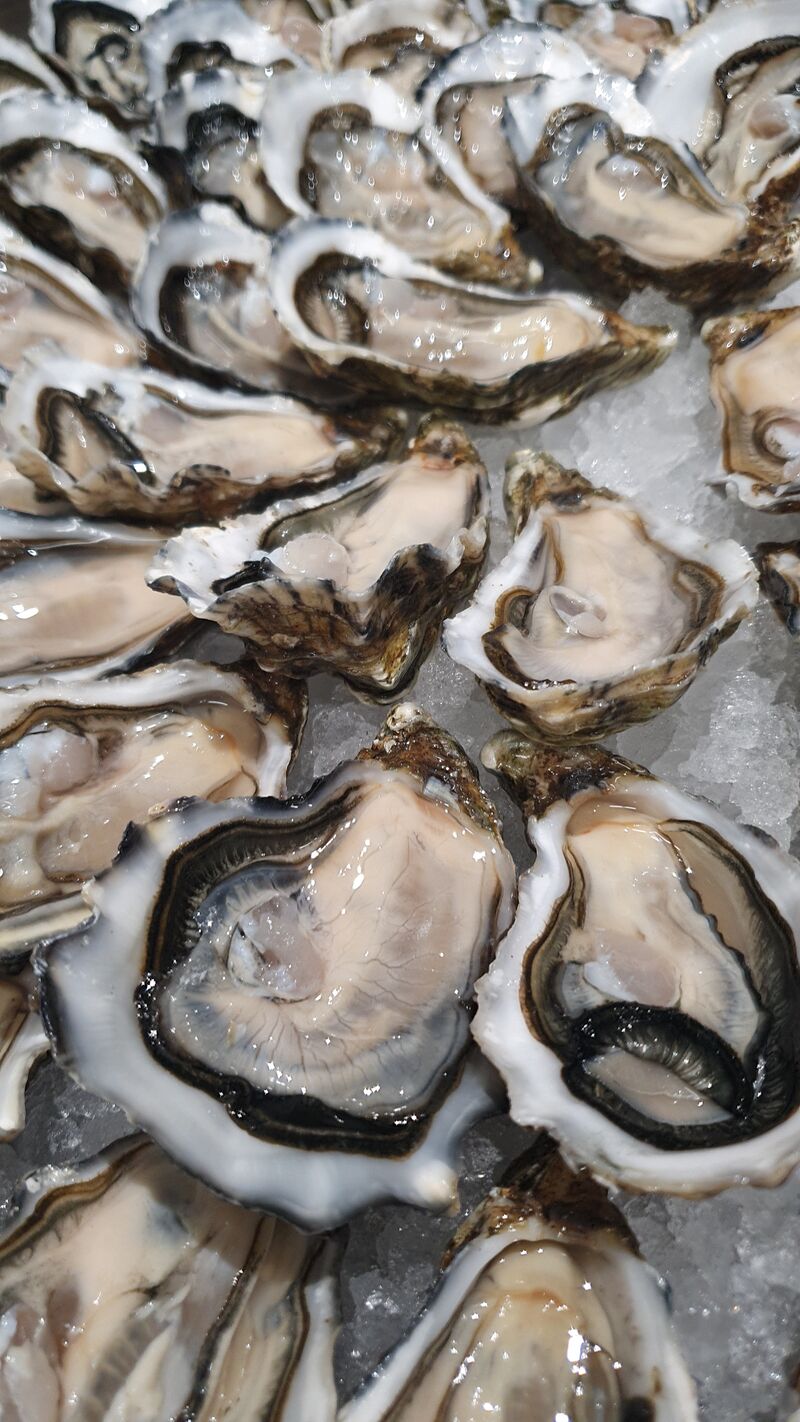 Nos huîtres 