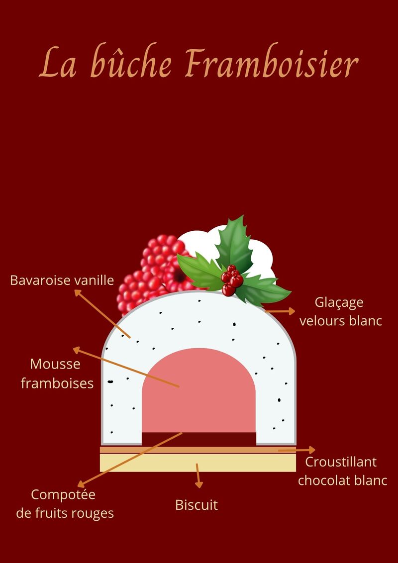 Bûche Framboisier