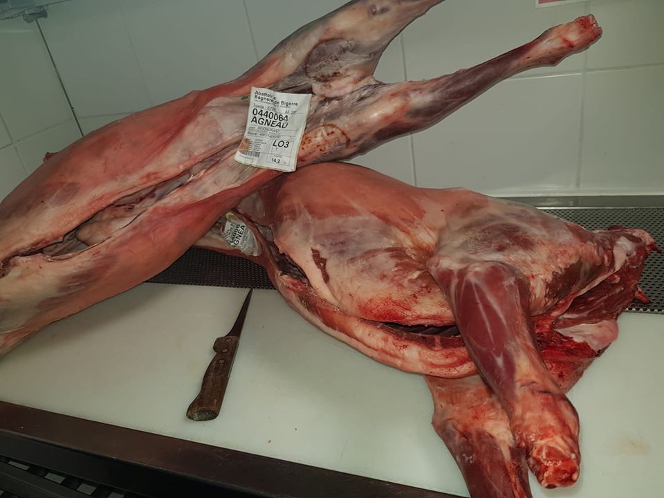 Arrivage des premiers agneaux des Baronnies de l'année éleveur Morilhon Jérome (2020).