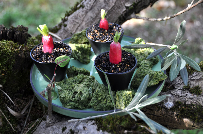 Des radis qui poussent sur une terre d'olives séchées. La nature s'invite dans l'assiette avec une mousse végétale d'épinard